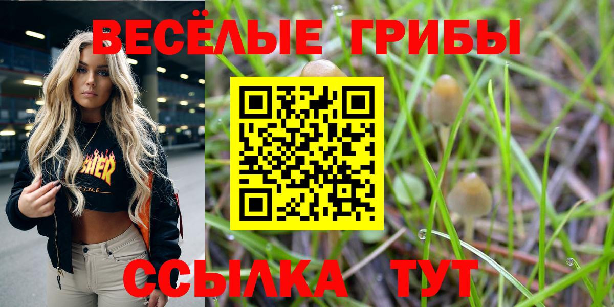 Псилоцибиновые грибы Magic Shrooms Камышлов