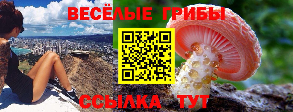 Галлюциногенные грибы ЛСД  Вход с VPN  Камышлов 